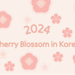 cherry blossom in korea, hangang seoul, seoul forest, yeouido, Seoul Palaces